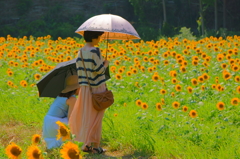 夏の思い出