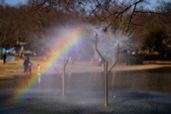 噴水の虹