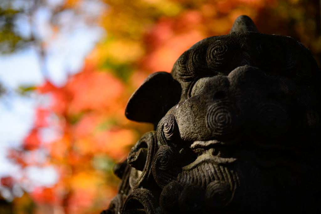 紅の狛犬