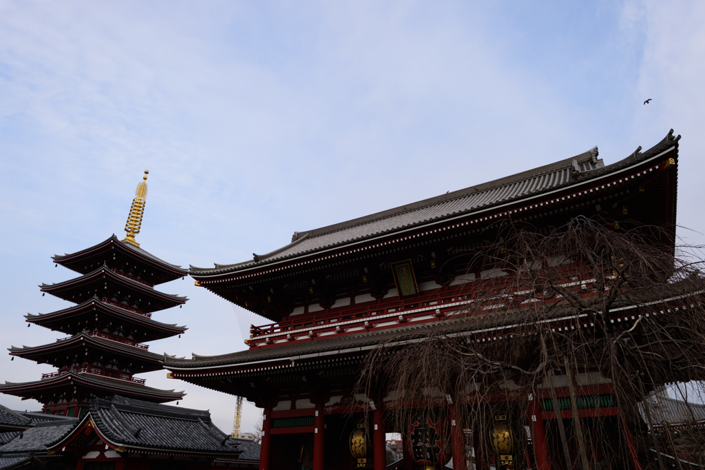 浅草寺宝蔵門と五重塔