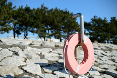 葛西臨海公園の浮き輪