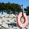 葛西臨海公園の浮き輪