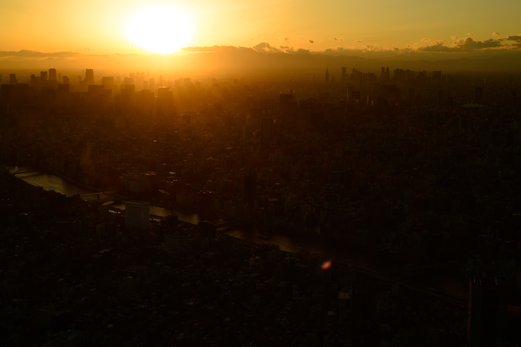 夕日に照らされる東京
