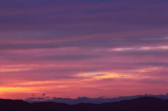 今日の夕暮れ時_14/10/04