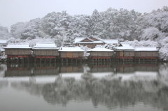 2015年初撮り
