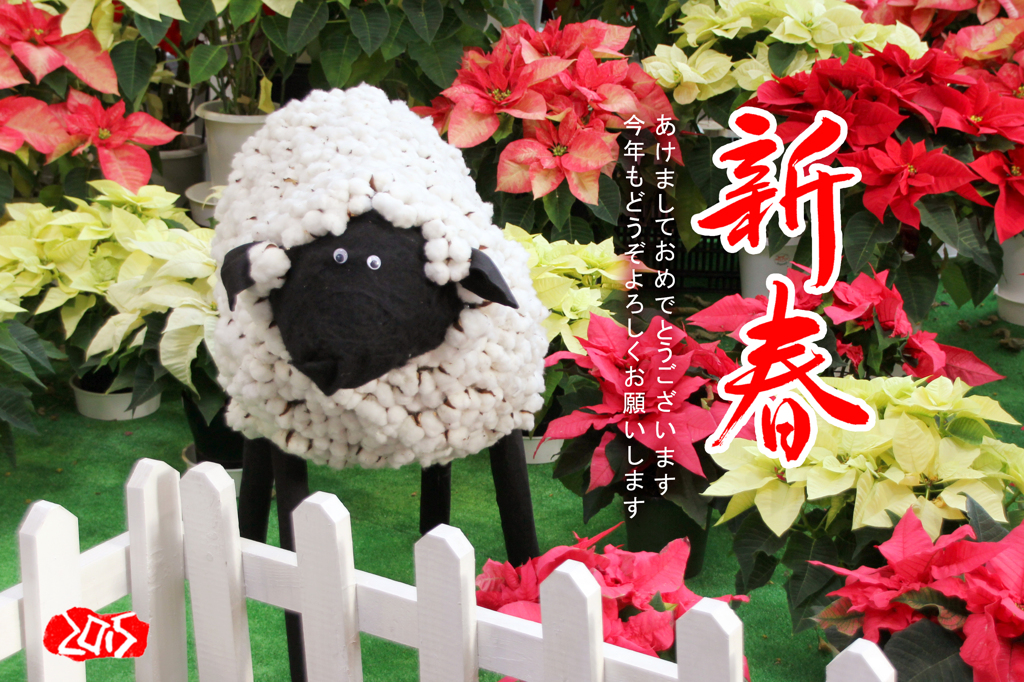 あけましておめでとうございます