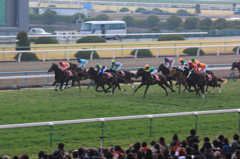 2015年2月15日　京都記念＿その1