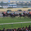 2015年2月15日　京都記念＿その1