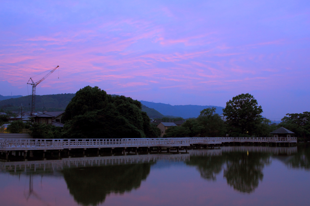 今日の夕暮れ時_150622_その2