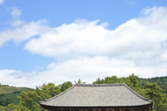 奈良の空と若草山と興福寺の伽藍の屋根