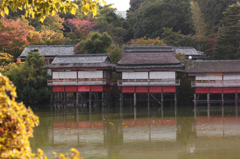 今日の日中…_14/10/19