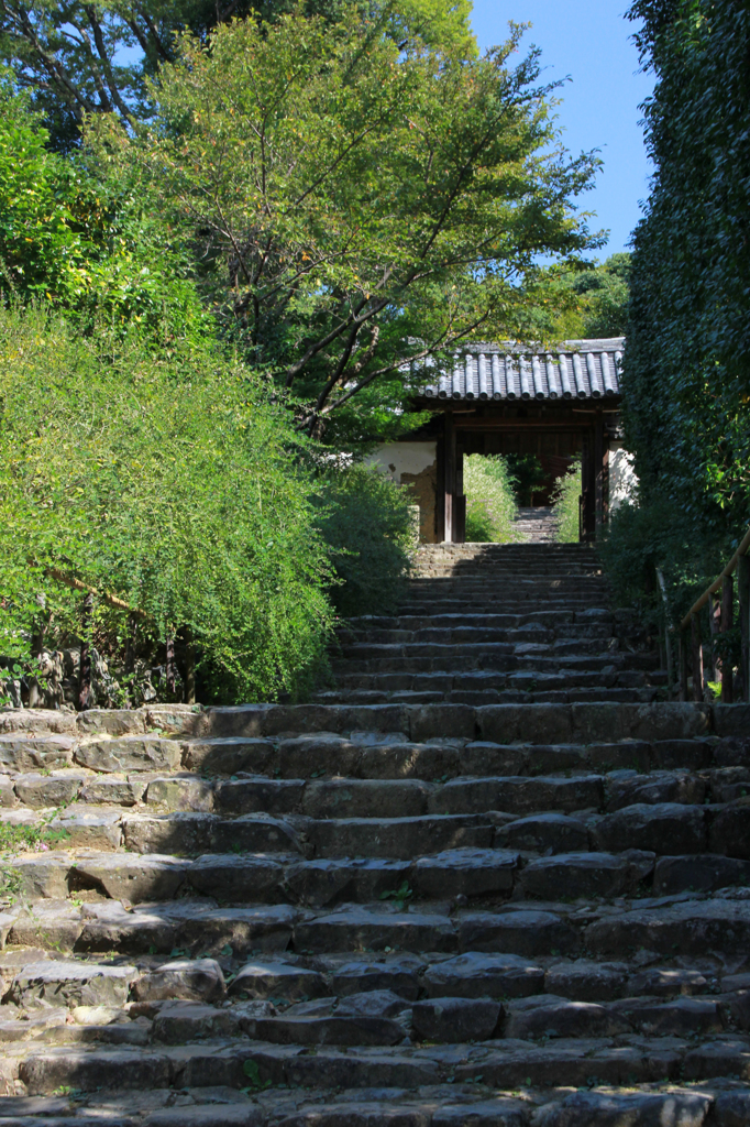 白毫寺の門