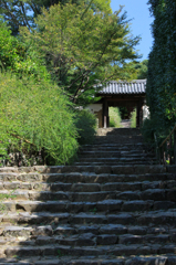 白毫寺の門