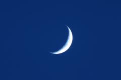 夕方の月_150720