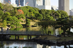 浜離宮恩賜庭園5