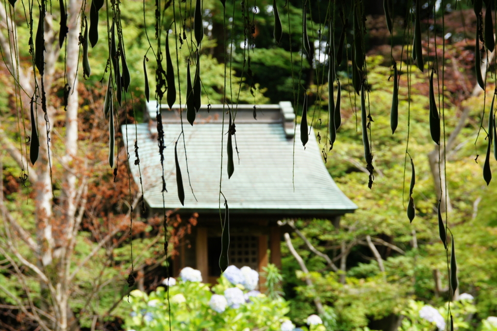 本土寺