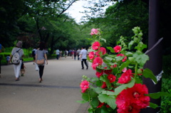 上野公園