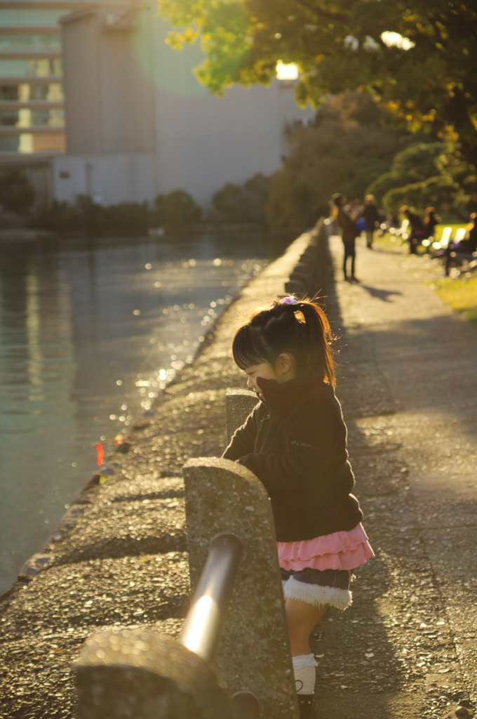浜離宮恩賜庭園7