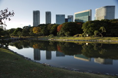 浜離宮恩賜庭園8