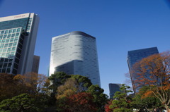 浜離宮恩賜庭園1