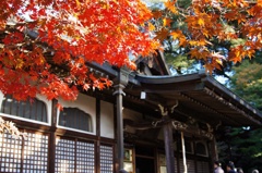 本土寺