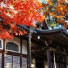 本土寺
