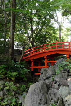 小石川後楽園　通天橋2