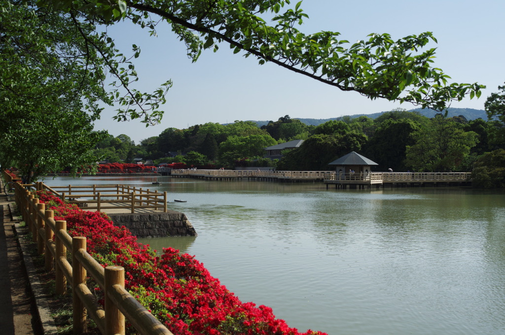 長岡八幡宮