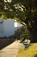 浜離宮恩賜庭園6