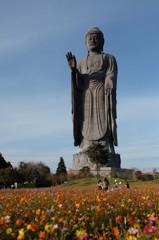 牛久大仏