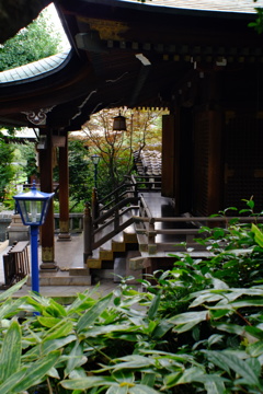 花園稲荷神社
