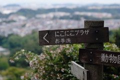 道標