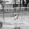 SWING