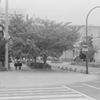 NOISY