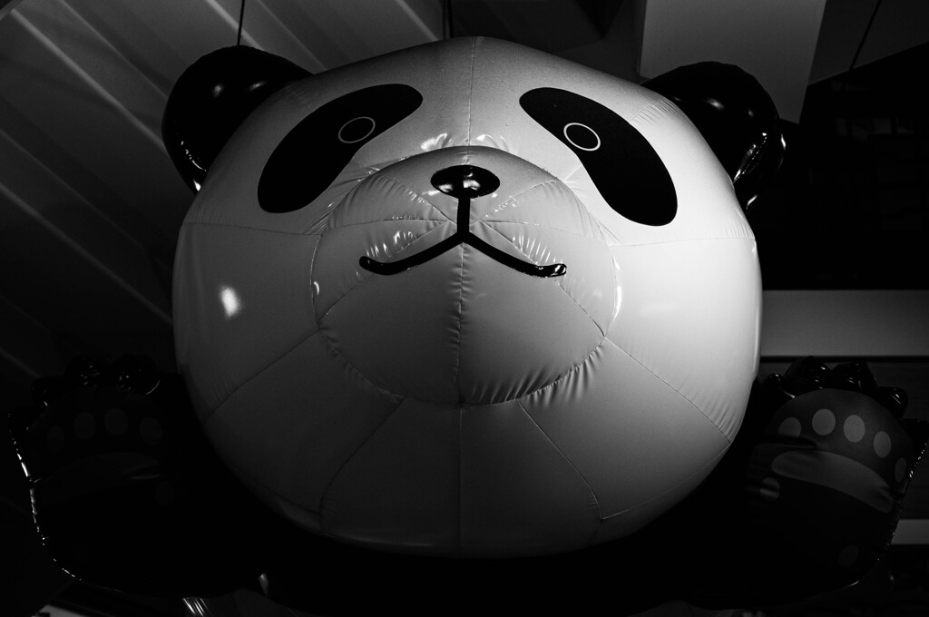 GIANT PANDA