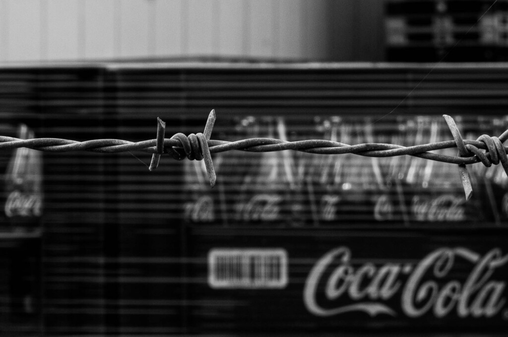 barbed wire