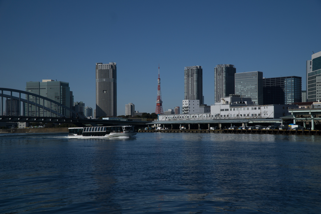 築地市場と高層ビル群
