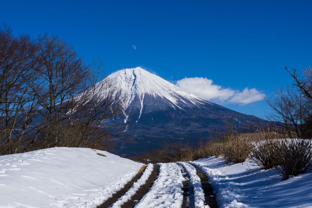 月と富士と雪の道