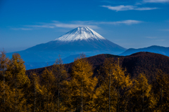 凛として立つ