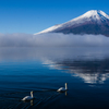 朝靄に浮かぶ