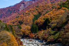 晩秋の渓谷鉄道