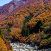 晩秋の渓谷鉄道