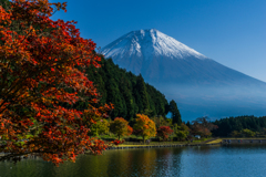 紅葉の田貫湖