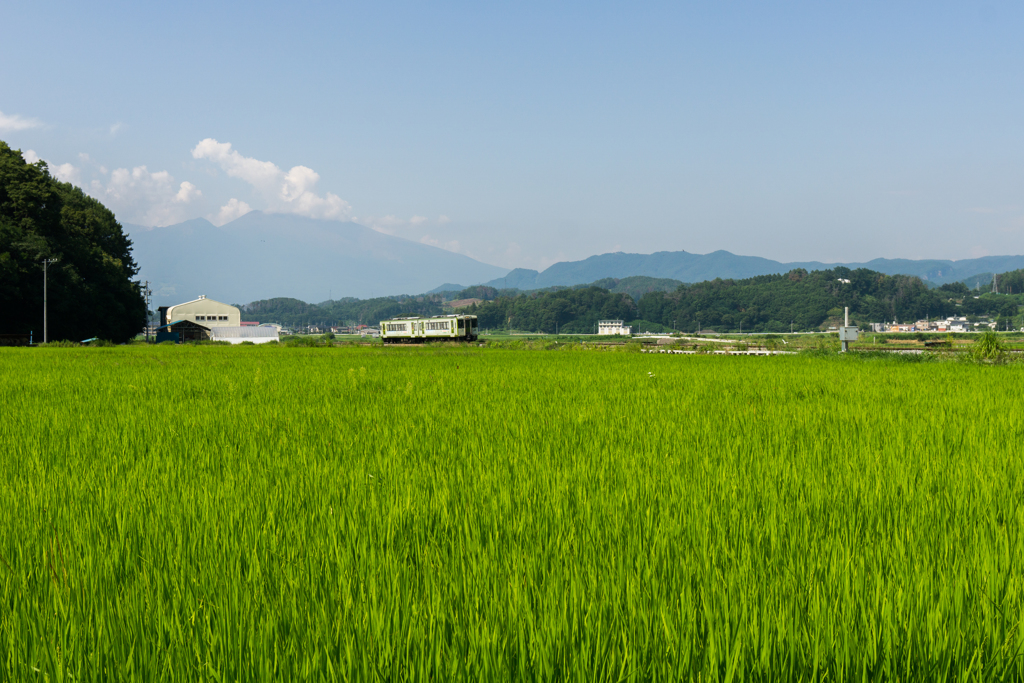 浅間を望む！　夏