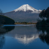 晩秋の富士山を望む（田貫湖から）