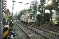 都電荒川線が行く