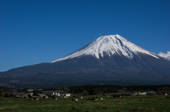 晩秋の富士山を望む（朝霧高原から）