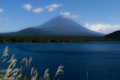 ススキと富士山