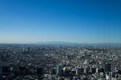 富士山遠望　都庁から