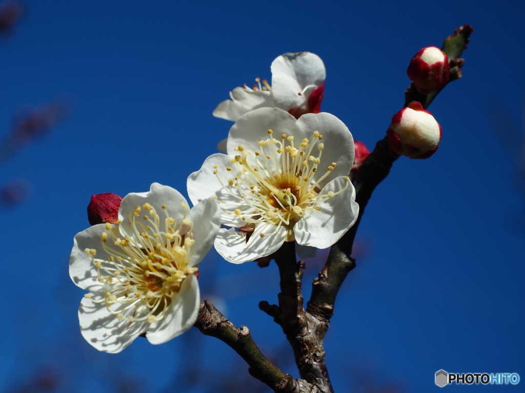ただただ前を見て・・・